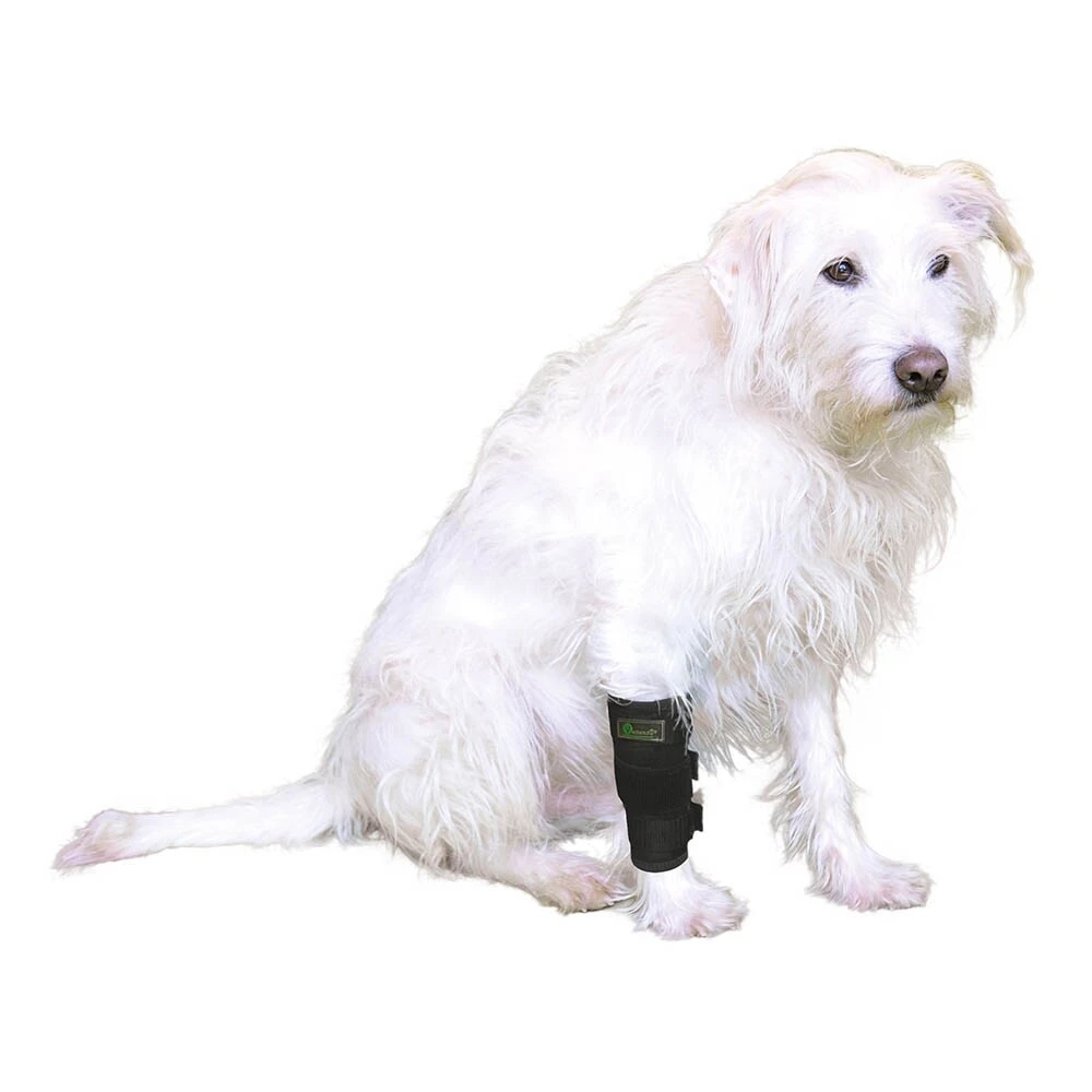 Petlando Vetlando Stützbandagen