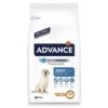 ADVANCE Maxi Adult