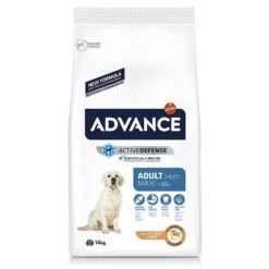 ADVANCE Maxi Adult
