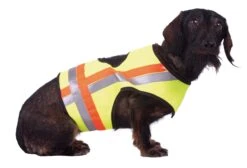 Hundewarnweste