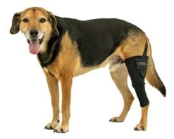 Tierarzt24 Neopren Knieprotektor Links