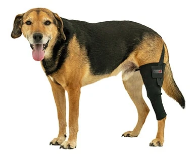 Tierarzt24 Neopren Knieprotektor Links