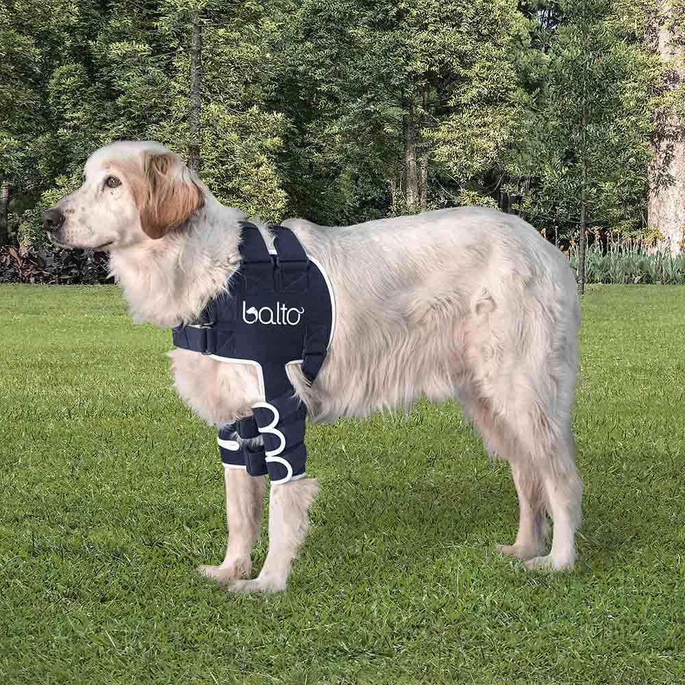 Tierarzt24 Rehab-Orthese BT Lux