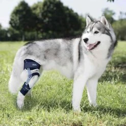 Tierarzt24 Rehab Knie-Orthese Ligatek Rechts