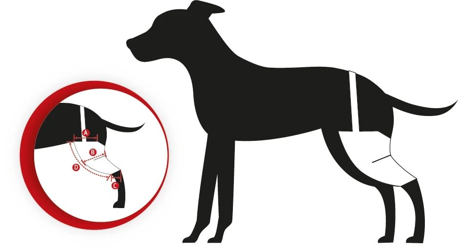 Tierarzt24 Neopren Knieprotektor Links – Bild 2