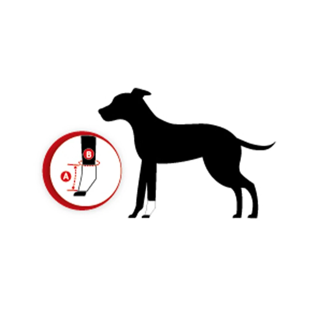 Tierarzt24 Neopren Carpusprotektor – Bild 2