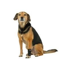 Tierarzt24 Neopren Carpusprotektor