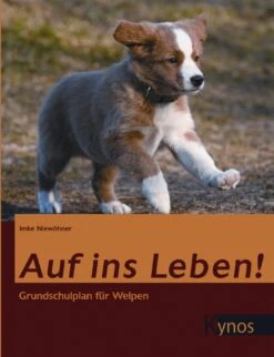 Auf Ins Leben! Grundschulplan Für Welpen