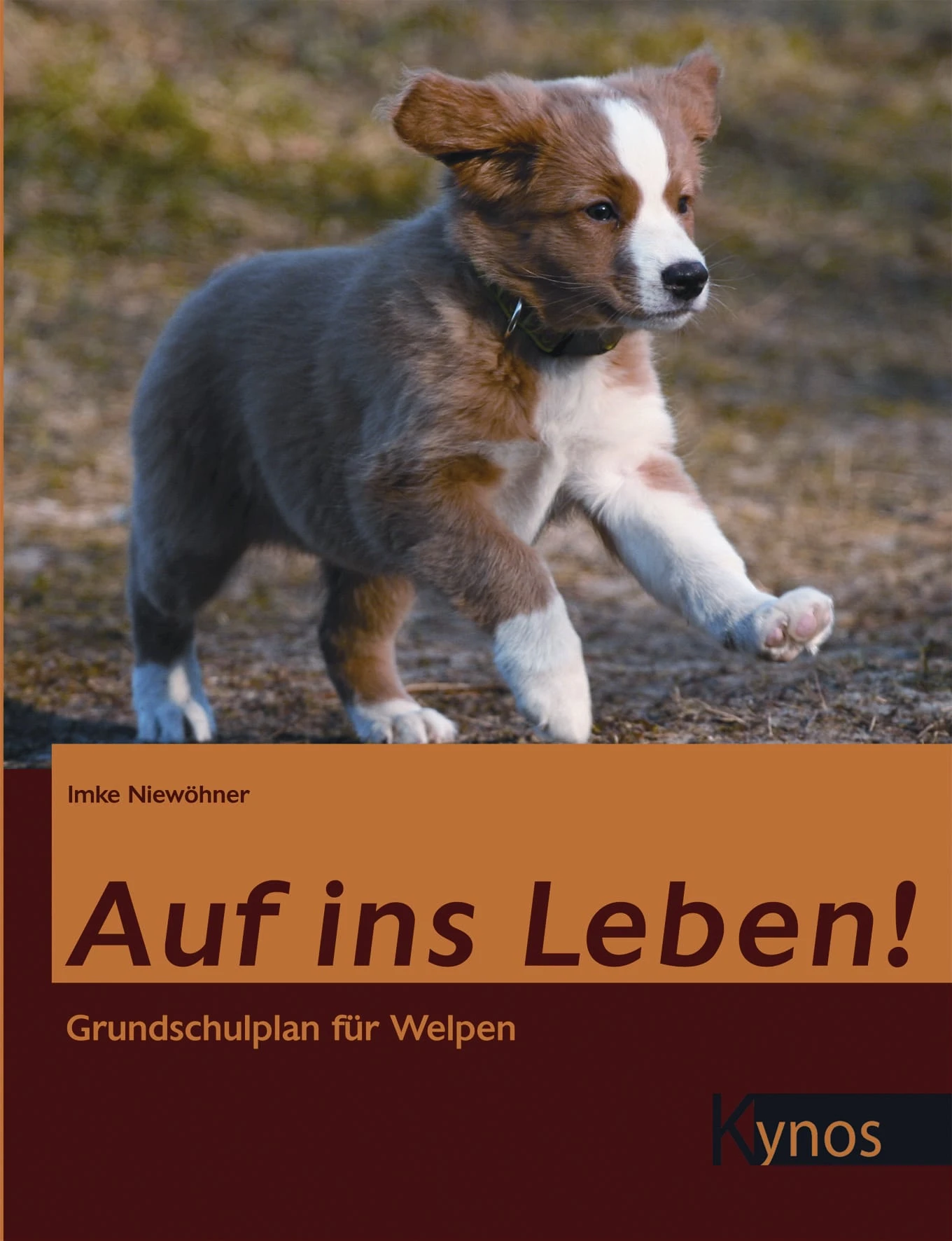 Auf Ins Leben! Grundschulplan Für Welpen