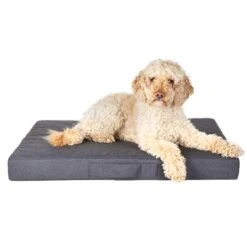 Tierarzt24 Hundebett Safe & Dry Atlanta Anthrazit