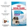 Royal Canin Giant Starter Für Tragende Hündin Und Welpen Großer Rassen