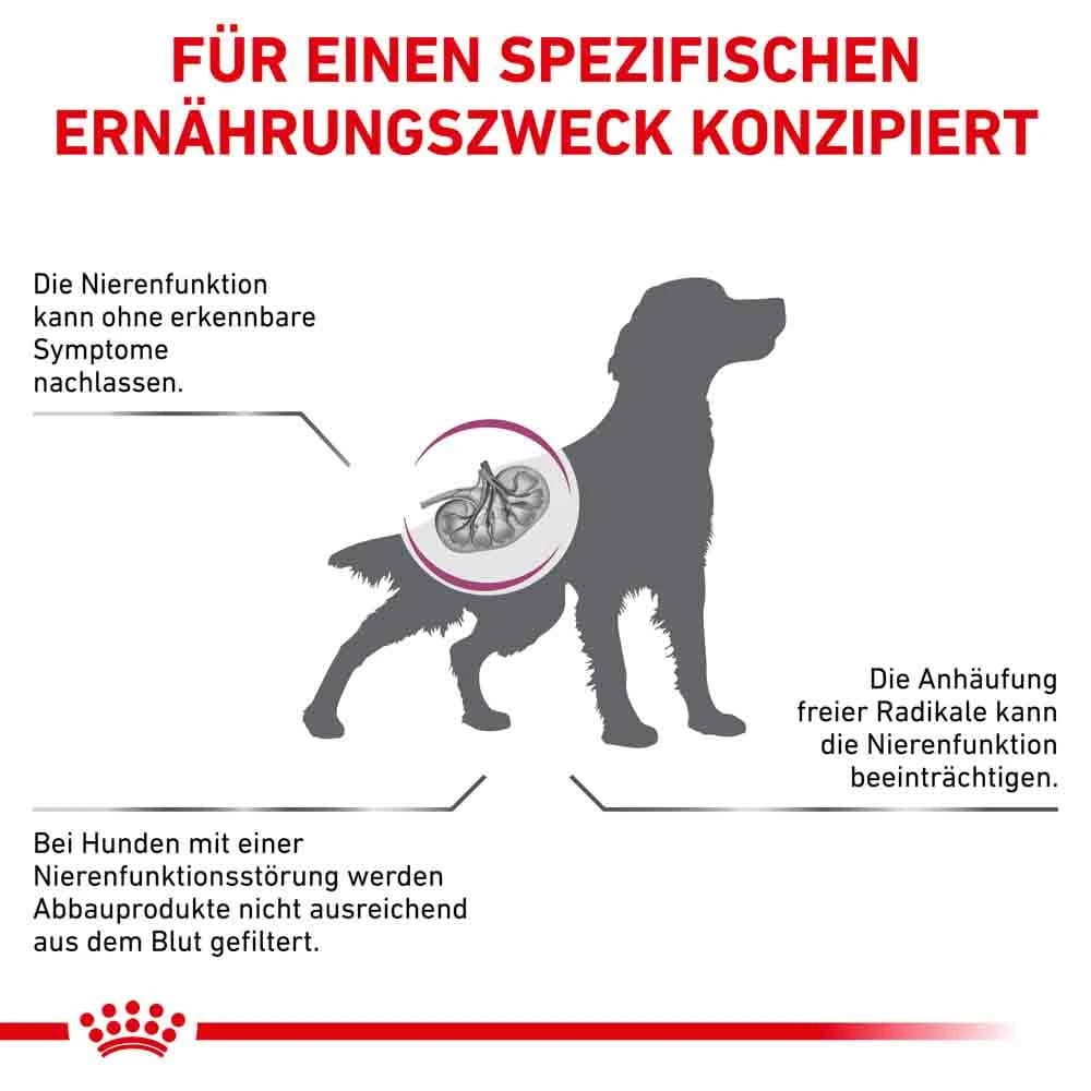 Royal Canin Veterinary Early Renal Trockenfutter Für Hunde – Bild 2