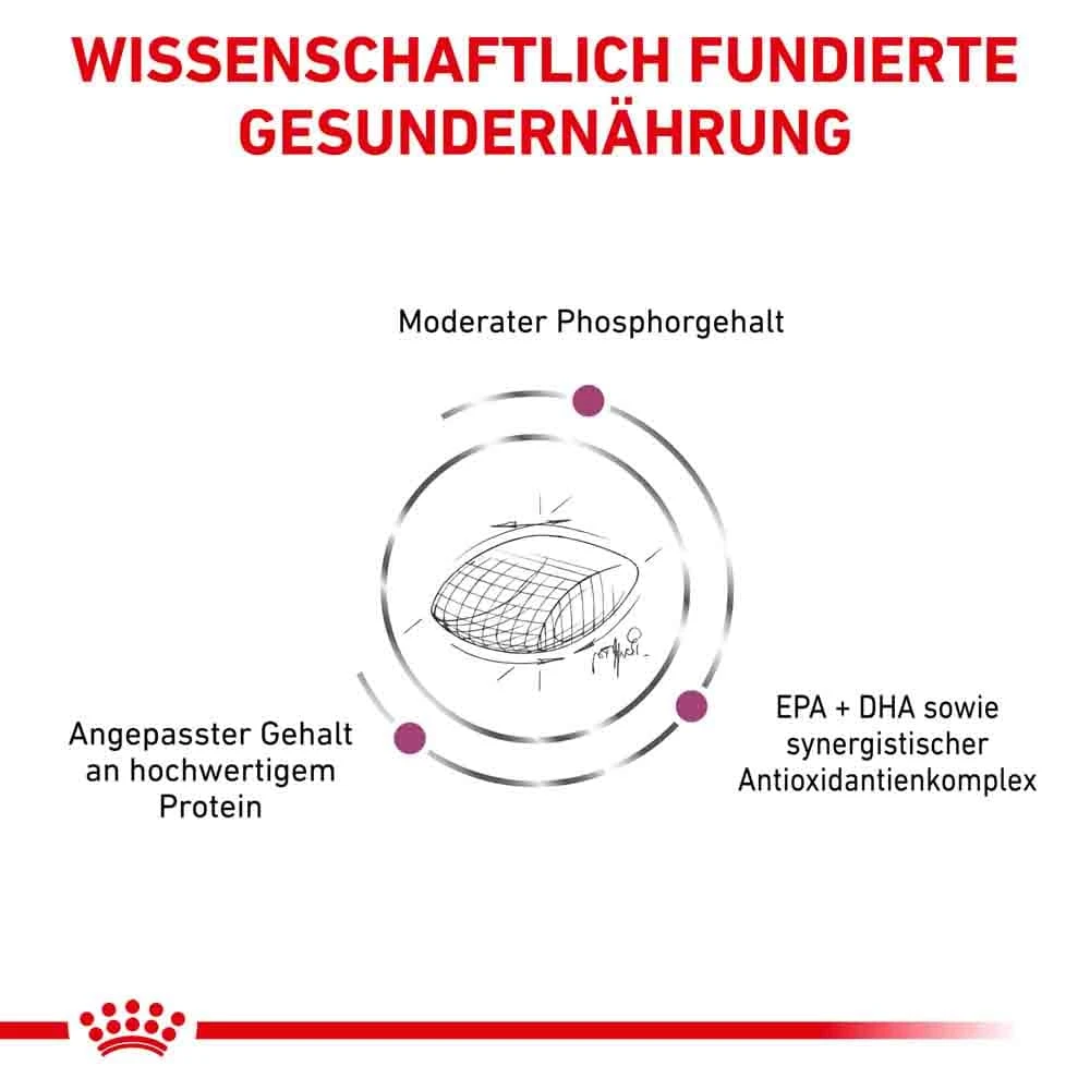 Royal Canin Veterinary Early Renal Trockenfutter Für Hunde – Bild 3