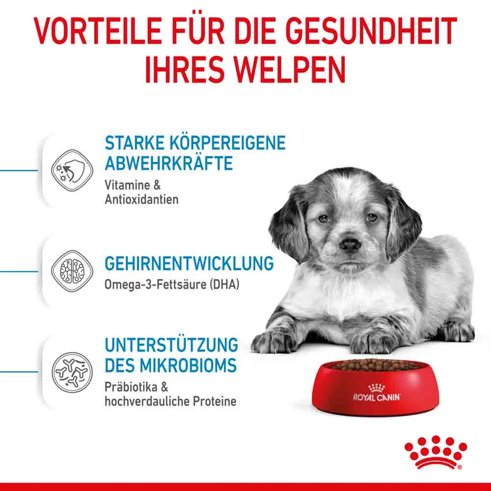 Royal Canin Medium Puppy Trockenfutter Für Welpen Mittelgroßer Hunderassen – Bild 4