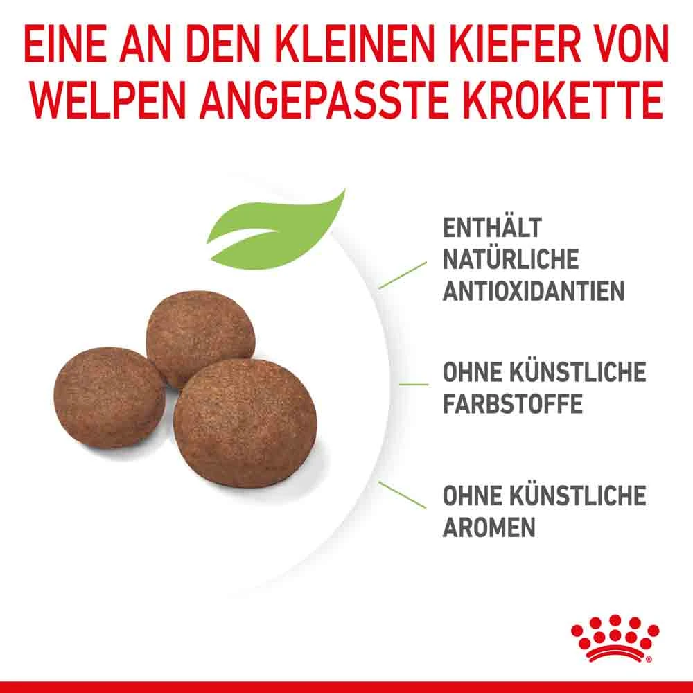 Royal Canin Medium Puppy Trockenfutter Für Welpen Mittelgroßer Hunderassen – Bild 5