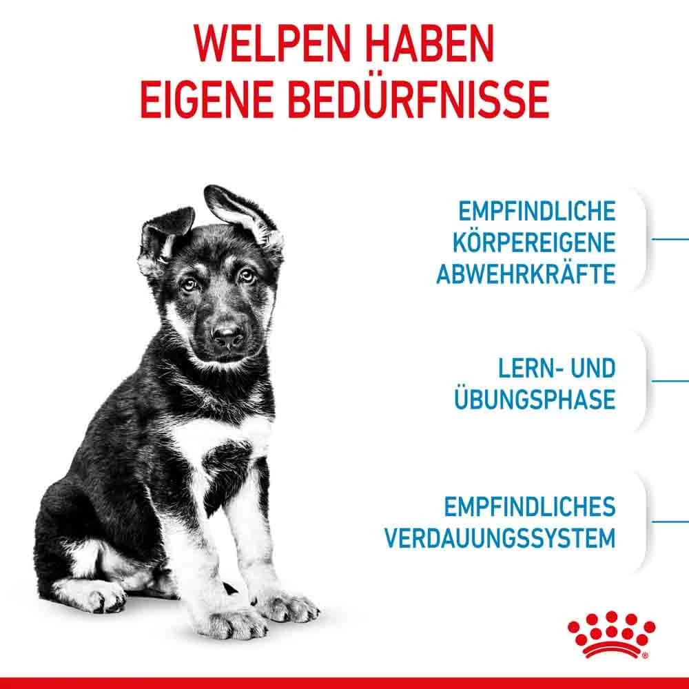 Royal Canin Maxi Puppy Trockenfutter Für Welpen Großer Rassen – Bild 3
