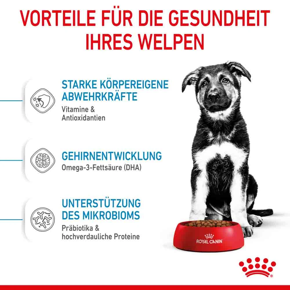 Royal Canin Maxi Puppy Trockenfutter Für Welpen Großer Rassen – Bild 4