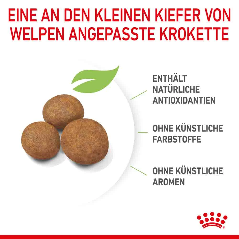 Royal Canin Maxi Puppy Trockenfutter Für Welpen Großer Rassen – Bild 5