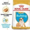 Royal Canin Bulldog Puppy Welpenfutter Trocken