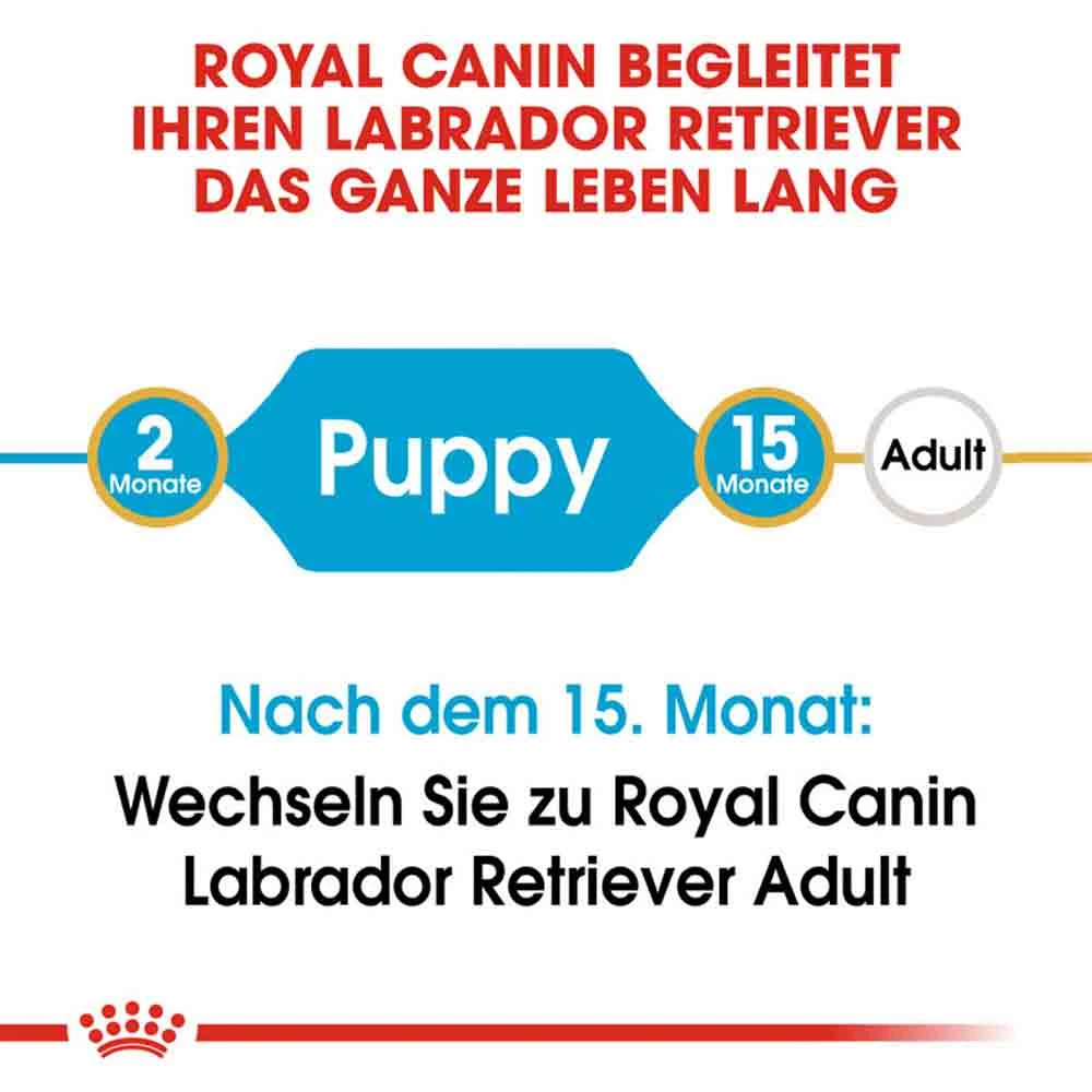 Royal Canin Labrador Retriever Puppy Welpenfutter Trocken – Bild 3