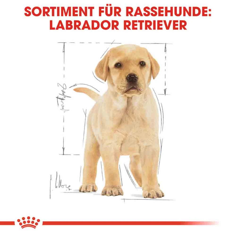 Royal Canin Labrador Retriever Puppy Welpenfutter Trocken – Bild 6