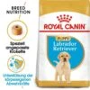Royal Canin Labrador Retriever Puppy Welpenfutter Trocken
