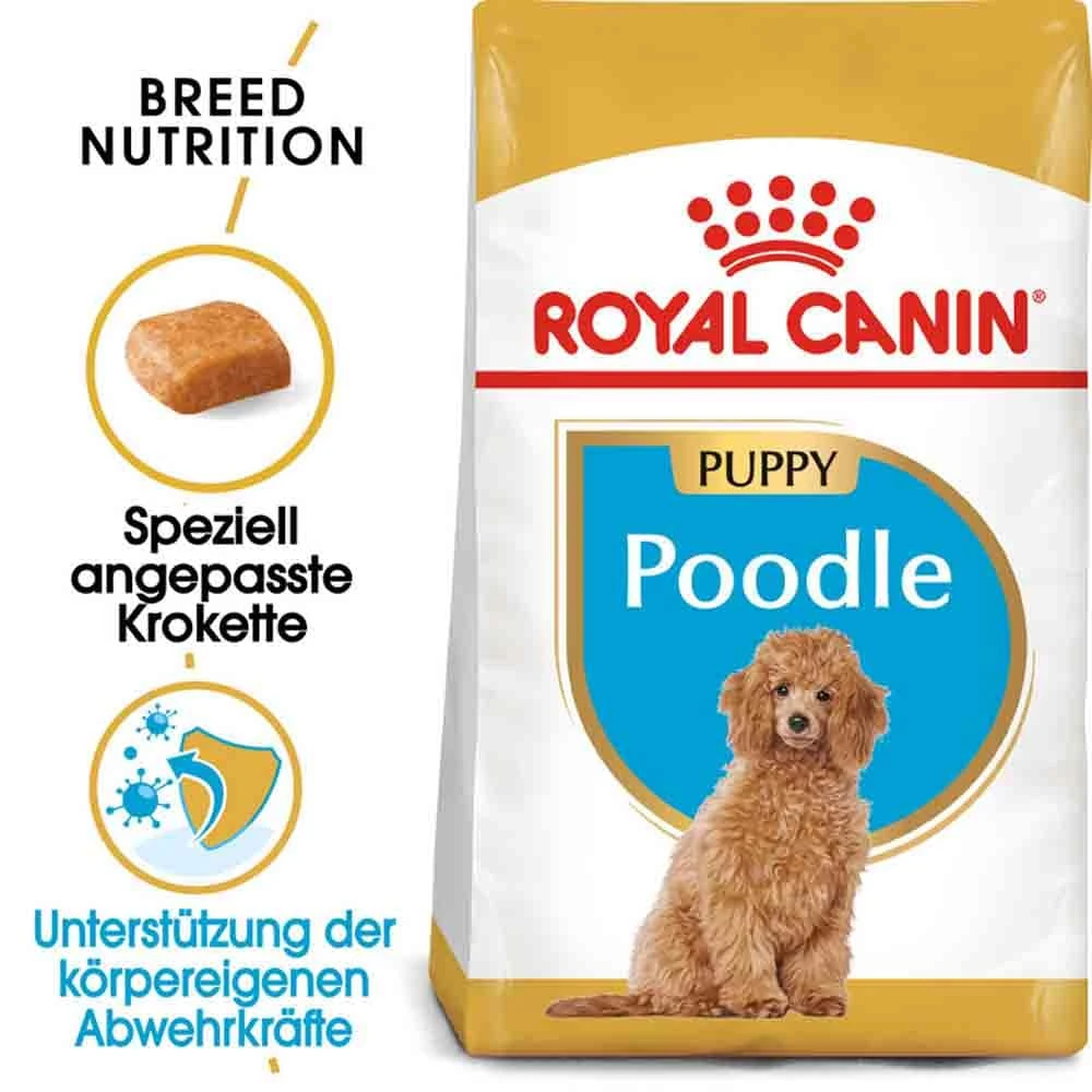 Royal Canin Poodle Puppy Welpenfutter