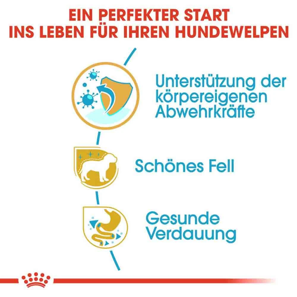 Royal Canin Poodle Puppy Welpenfutter – Bild 4