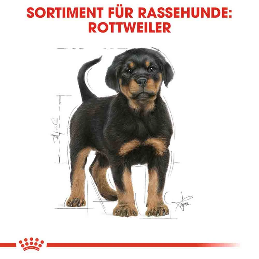 Royal Canin Rottweiler Puppy Hunde – Bild 6