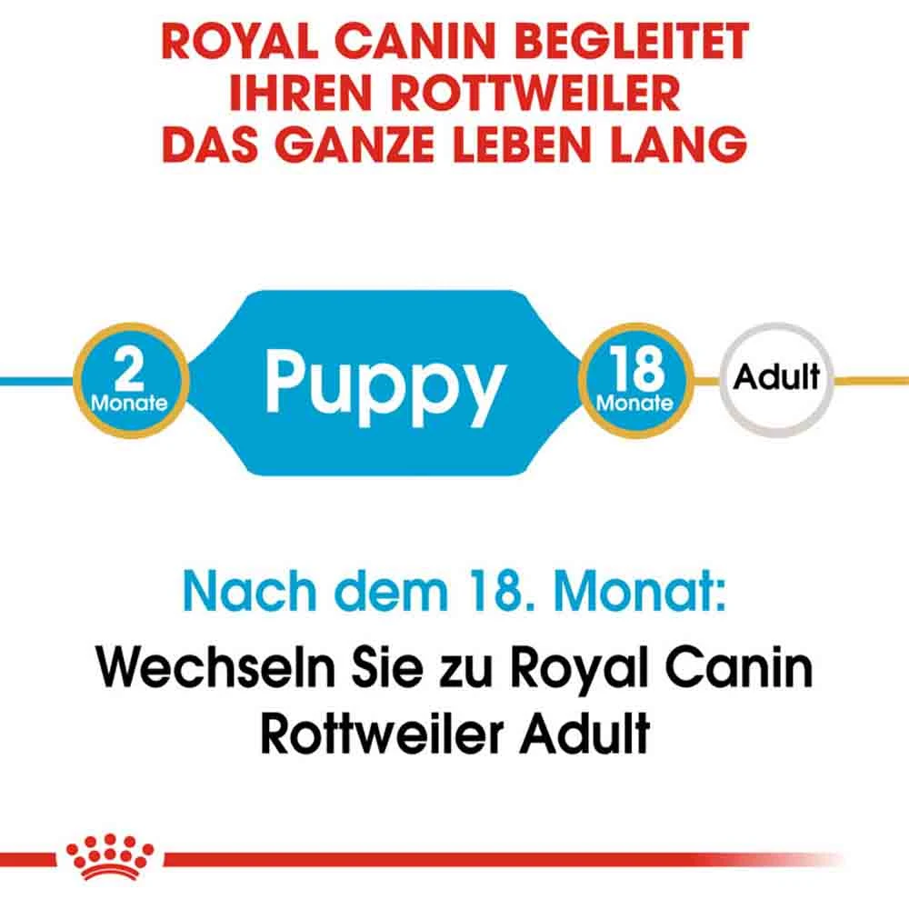 Royal Canin Rottweiler Puppy Hunde – Bild 3