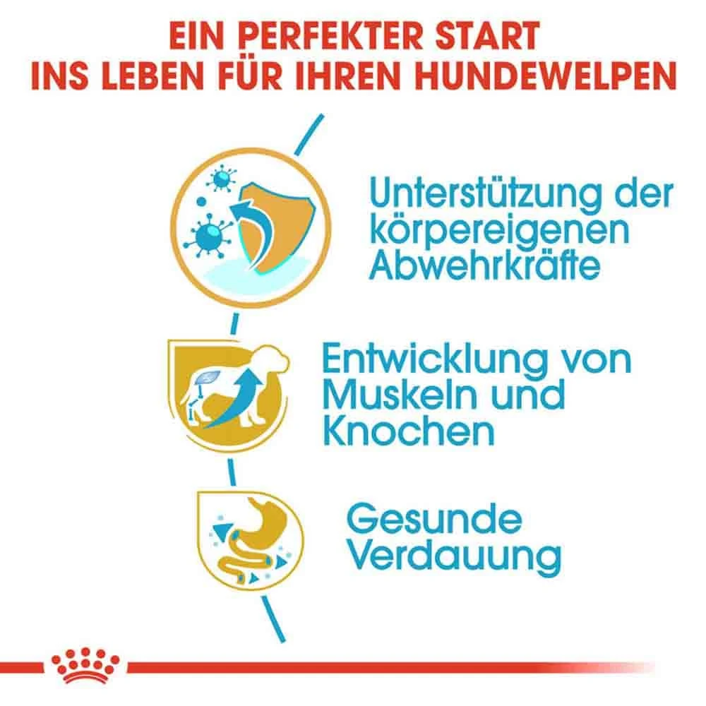 Royal Canin Rottweiler Puppy Hunde – Bild 4