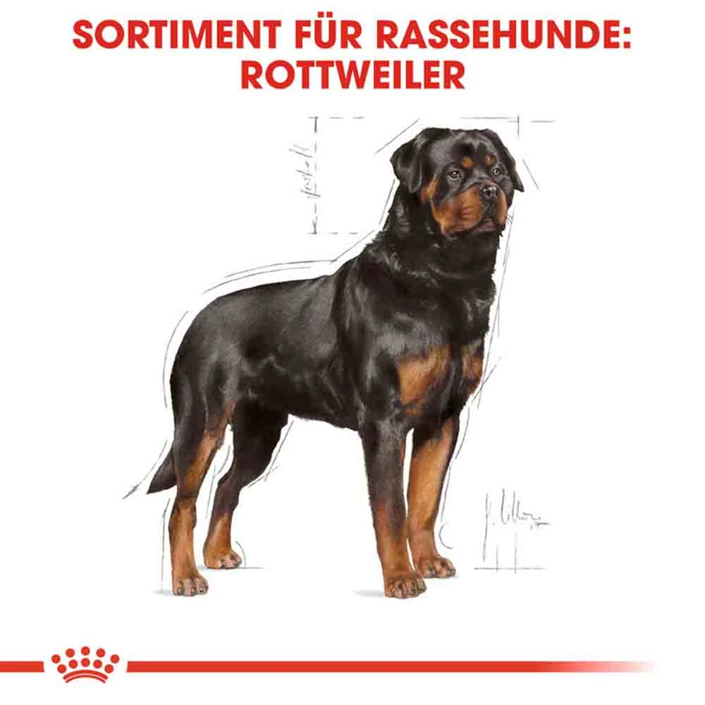 Royal Canin Rottweiler Adult Hundefutter Trocken – Bild 3