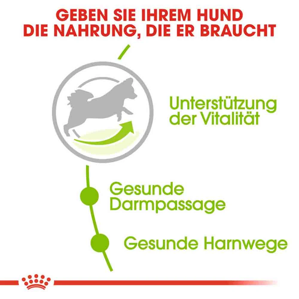 Royal Canin X-Small Ageing 8+ Trockenfutter Für ältere Sehr Kleine Hunde – Bild 4