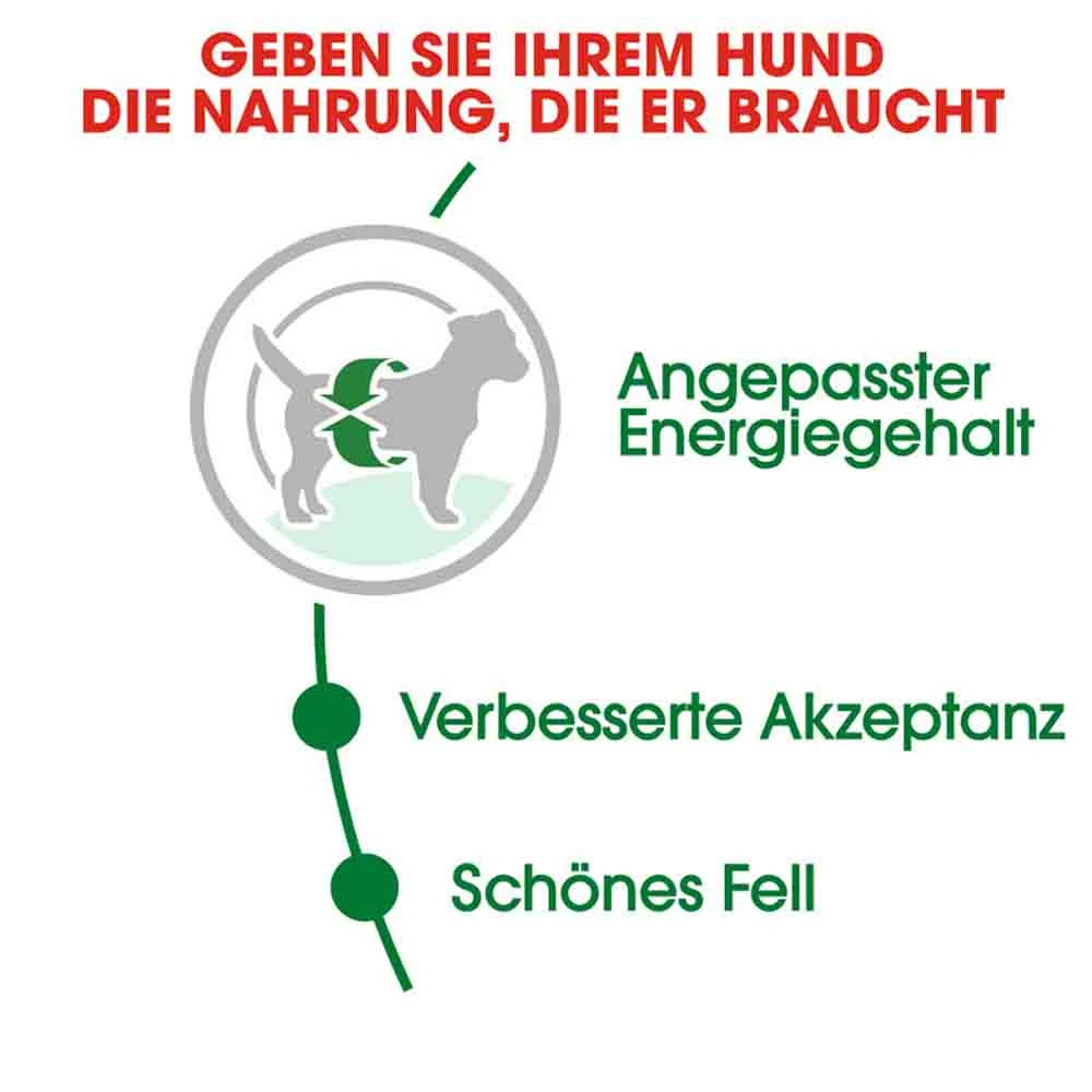 Royal Canin Mini Adult Trockenfutter Für Kleine Hunde – Bild 4