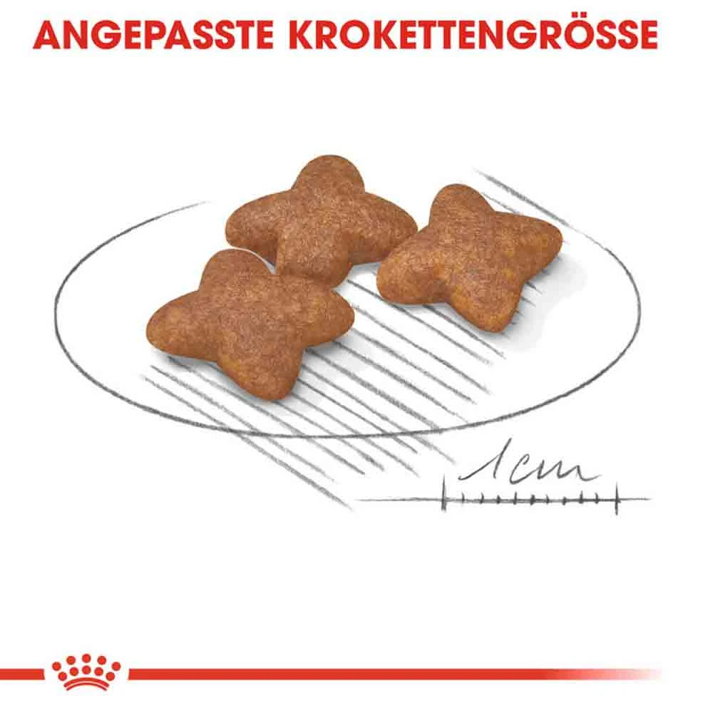 Royal Canin Mini Adult Trockenfutter Für Kleine Hunde – Bild 5