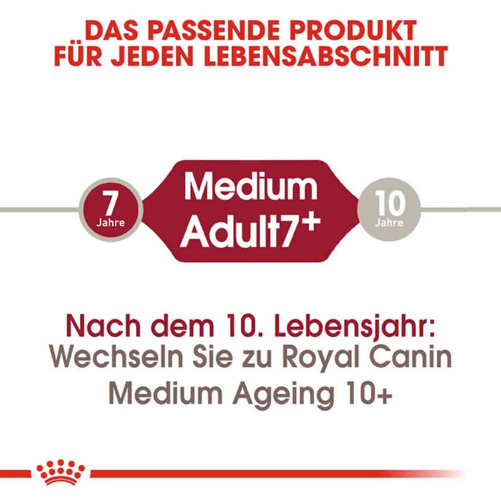 Royal Canin Medium Adult 7+ Trockenfutter Für ältere Mittelgroße Hunde – Bild 3