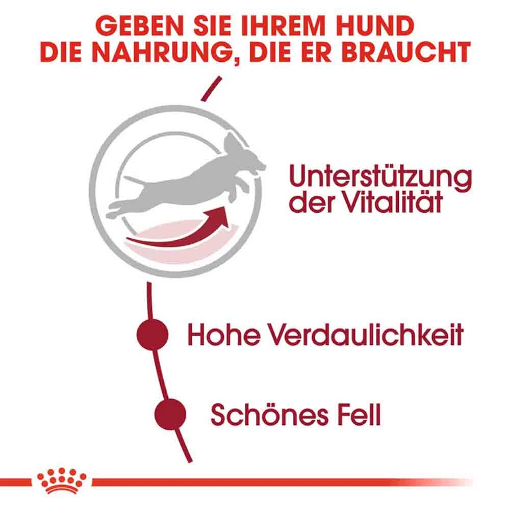 Royal Canin Medium Adult 7+ Trockenfutter Für ältere Mittelgroße Hunde – Bild 4