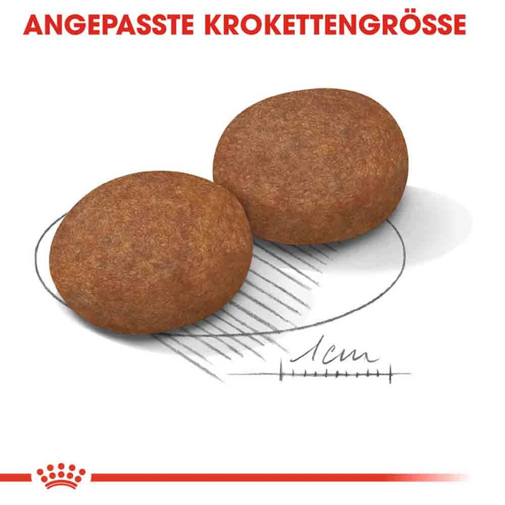 Royal Canin Medium Adult 7+ Trockenfutter Für ältere Mittelgroße Hunde – Bild 5