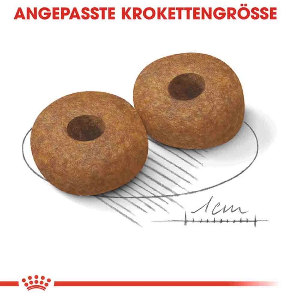 Royal Canin Medium Adult 10+ Trockenfutter Für ältere Mittelgroße Hunde – Bild 5