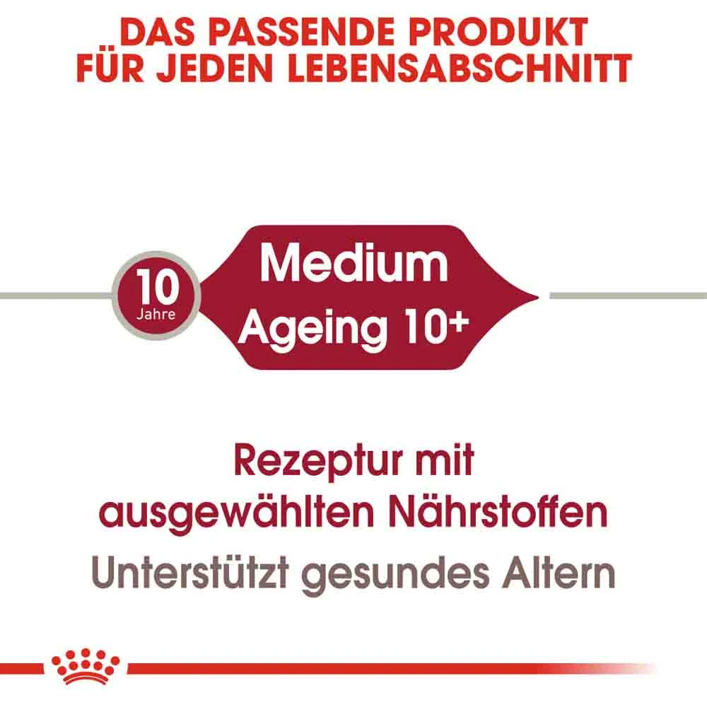 Royal Canin Medium Adult 10+ Trockenfutter Für ältere Mittelgroße Hunde – Bild 3
