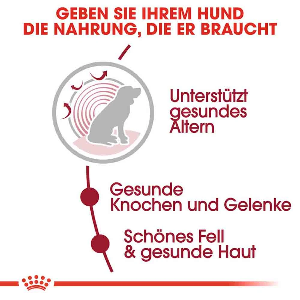 Royal Canin Medium Adult 10+ Trockenfutter Für ältere Mittelgroße Hunde – Bild 4