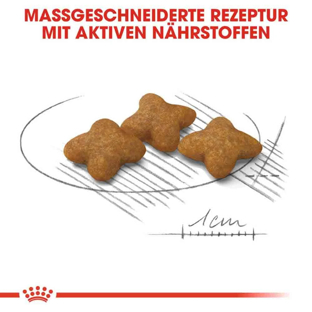 Royal Canin Sterilised X-SMALL Trockenfutter FĂŒr Kastrierte Sehr Kleine Hunde â Bild 5