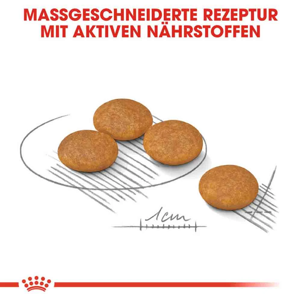 Royal Canin Dermacomfort Mini Trockenfutter Für Kleine Hunde Mit Empfindlicher Haut – Bild 5
