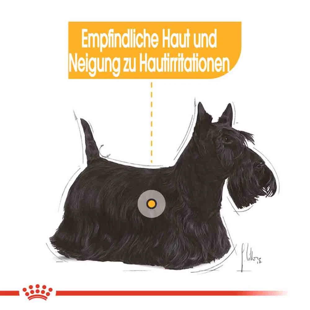 Royal Canin Dermacomfort Mini Trockenfutter Für Kleine Hunde Mit Empfindlicher Haut – Bild 3