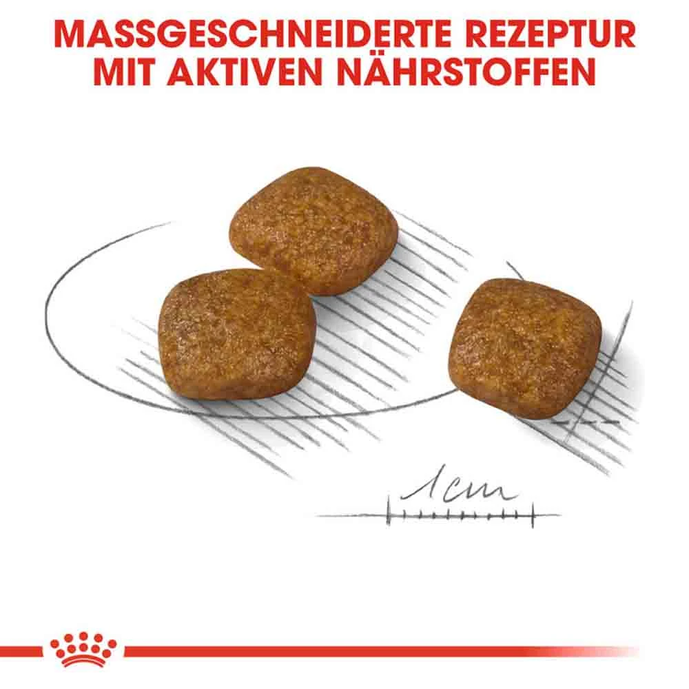 Royal Canin Urinary Care Mini Trockenfutter Für Kleine Hunde Mit Empfindlichen Harnwegen – Bild 5