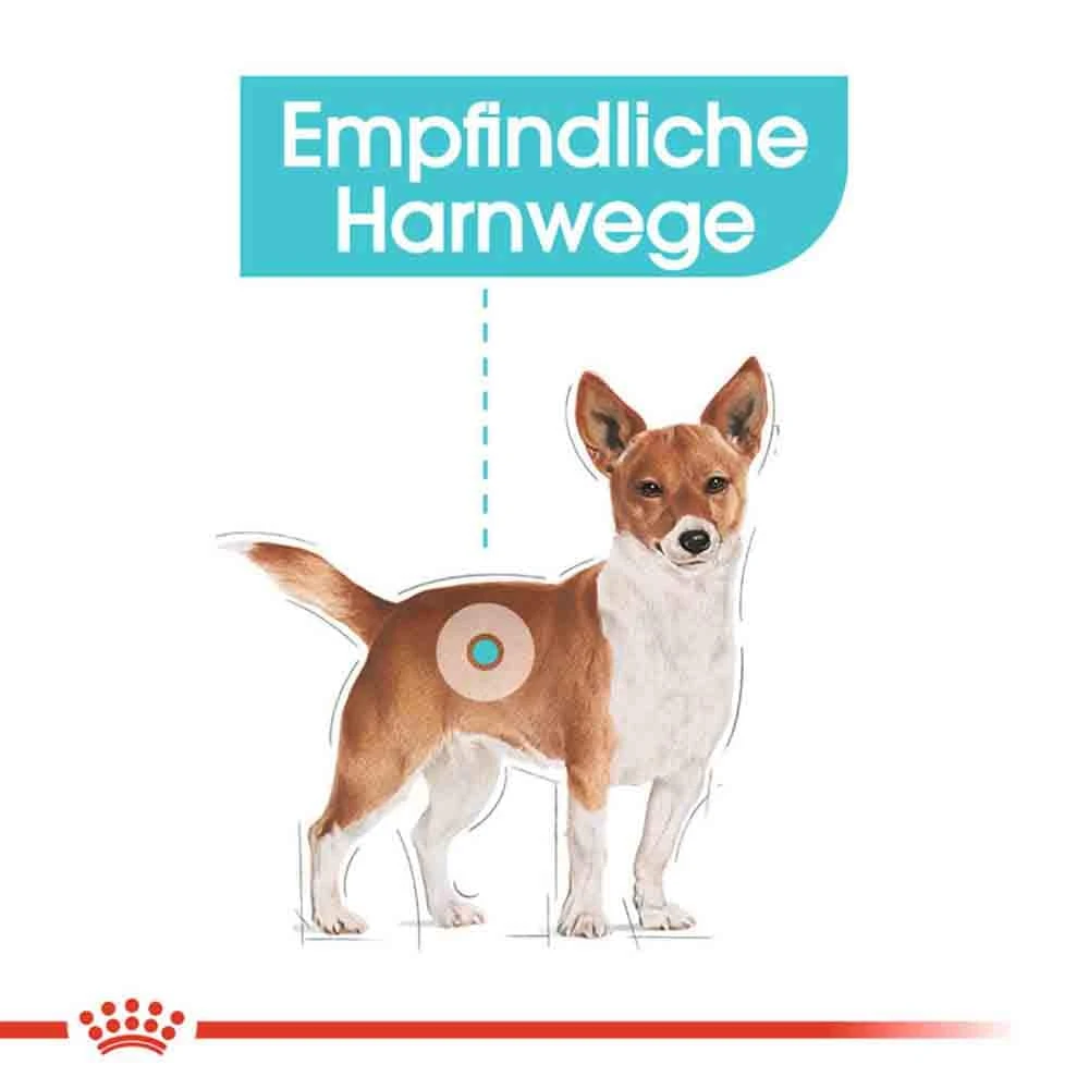 Royal Canin Urinary Care Mini Trockenfutter Für Kleine Hunde Mit Empfindlichen Harnwegen – Bild 3