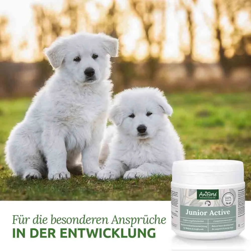 AniForte Junior Active Pulver – Bild 3