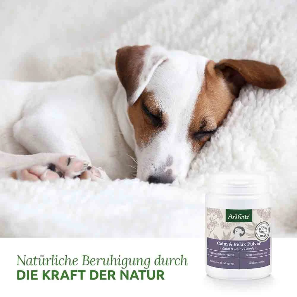 AniForte Calm & Relax Kräuter – Bild 3