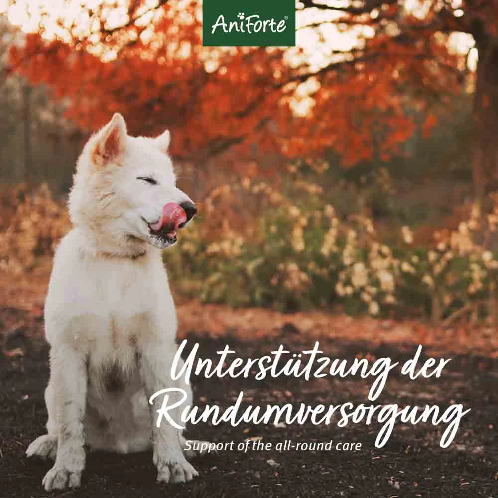AniForte 4in1 Complete Dog – Bild 4