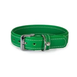 Das Lederband Barcelona Halsband Summer-Green